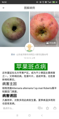 http://img.danews.cc/upload/ajax/20201002/0ce3afce03d15af97a3222810609a524.png