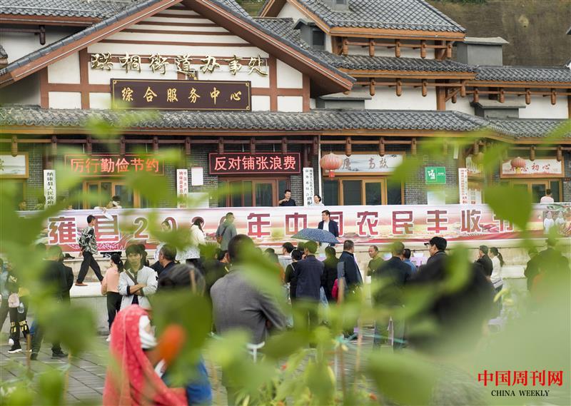 納雍縣農民豐收節(jié)活動現場.jpg