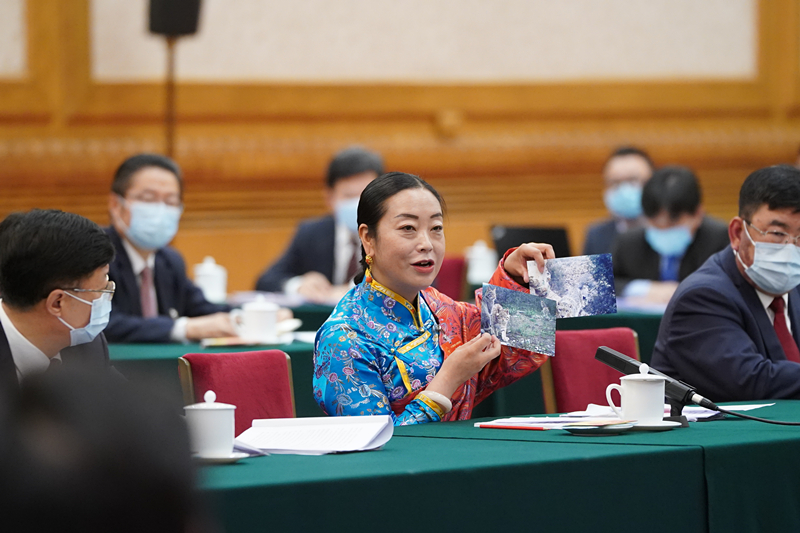 2021年3月7日，習(xí)近平總書記在參加十三屆全國人大四次會議青海代表團(tuán)審議時(shí)，全國人大代表孔慶菊在會上展示了兩張照片，上面分別是祁連山地區(qū)多年不見蹤跡的雪豹和荒漠貓。