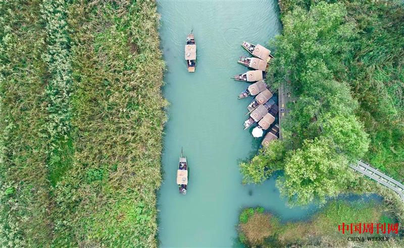 杭州西溪濕地公園鳥(niǎo)瞰.jpg