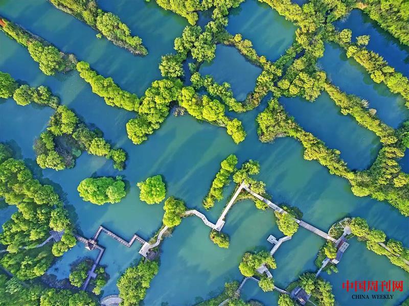 西溪濕地美景鳥(niǎo)瞰.jpg